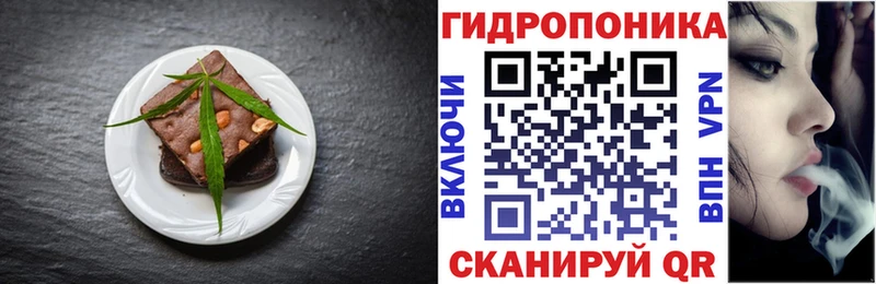 Cannafood конопля Шумиха