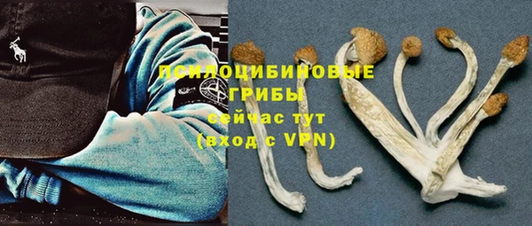 винт Белокуриха