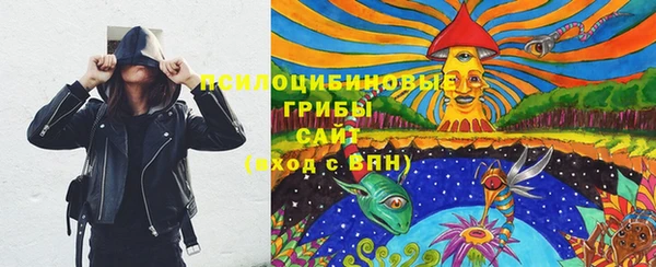 спиды Тында